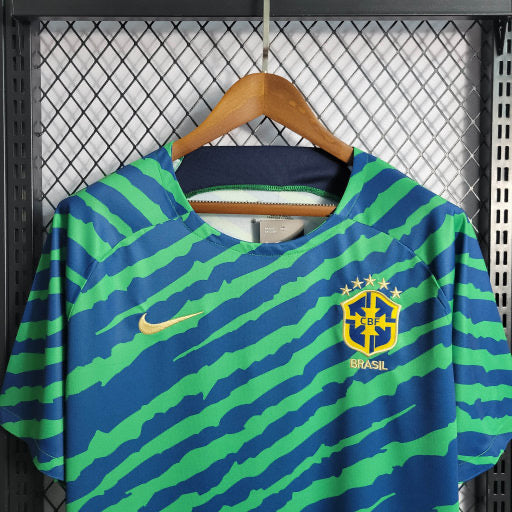 Camisa Brasil Ed Especial Treino 22/23 - Nike Torcedor Masculina